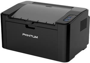 Pantum P 2502