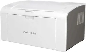 Pantum P 2509W