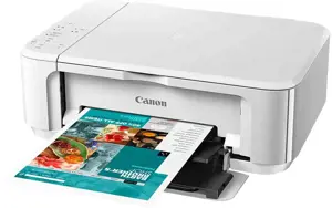 Canon PIXMA MG3650S(White)